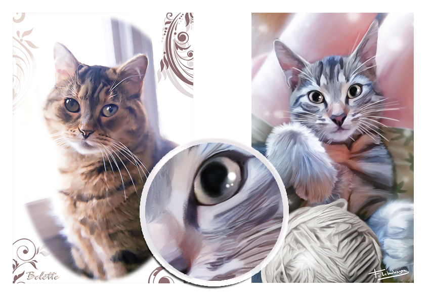 Chats_Cats